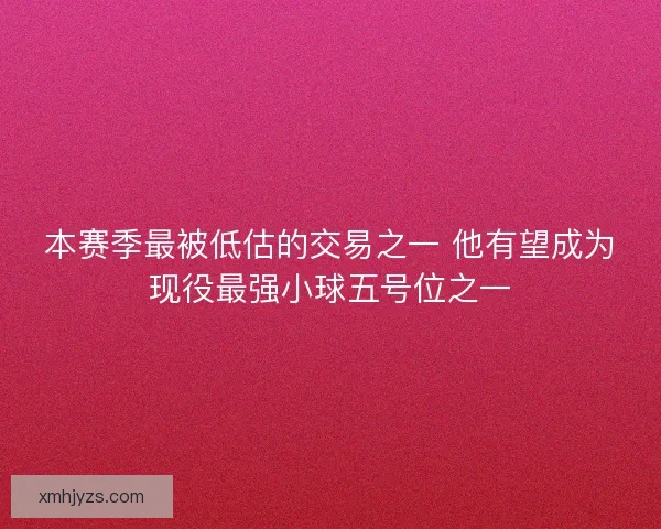 本赛季最被低估的交易之一 他有望成为现役最强小球五号位之一